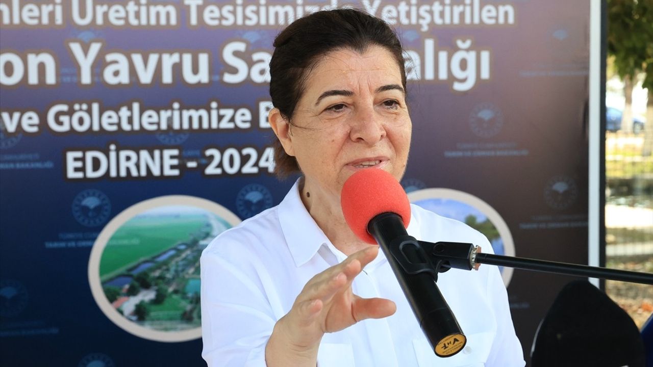 Edirne'de 10 Milyon Yavru Sazan Balığı Baraj ve Göletlere Bırakıldı