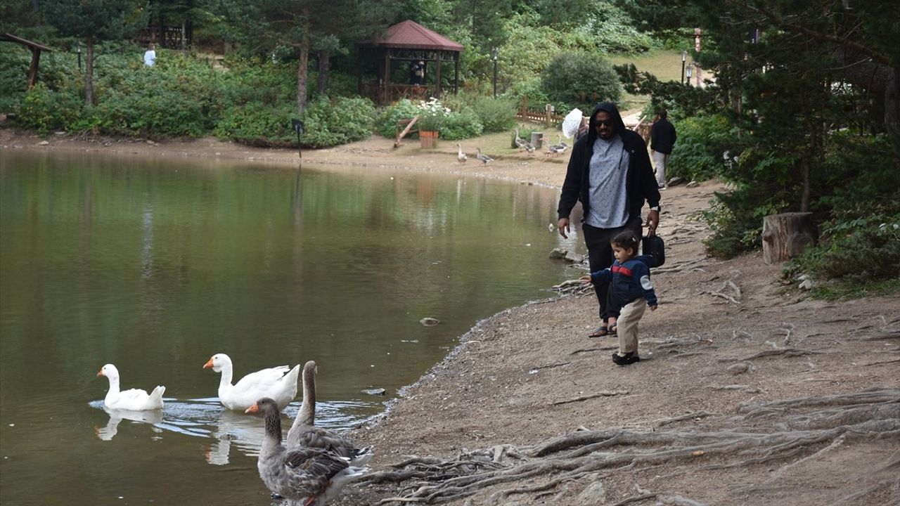 Limni Gölü Tabiat Parkı 100 Bin Turisti Ağırladı