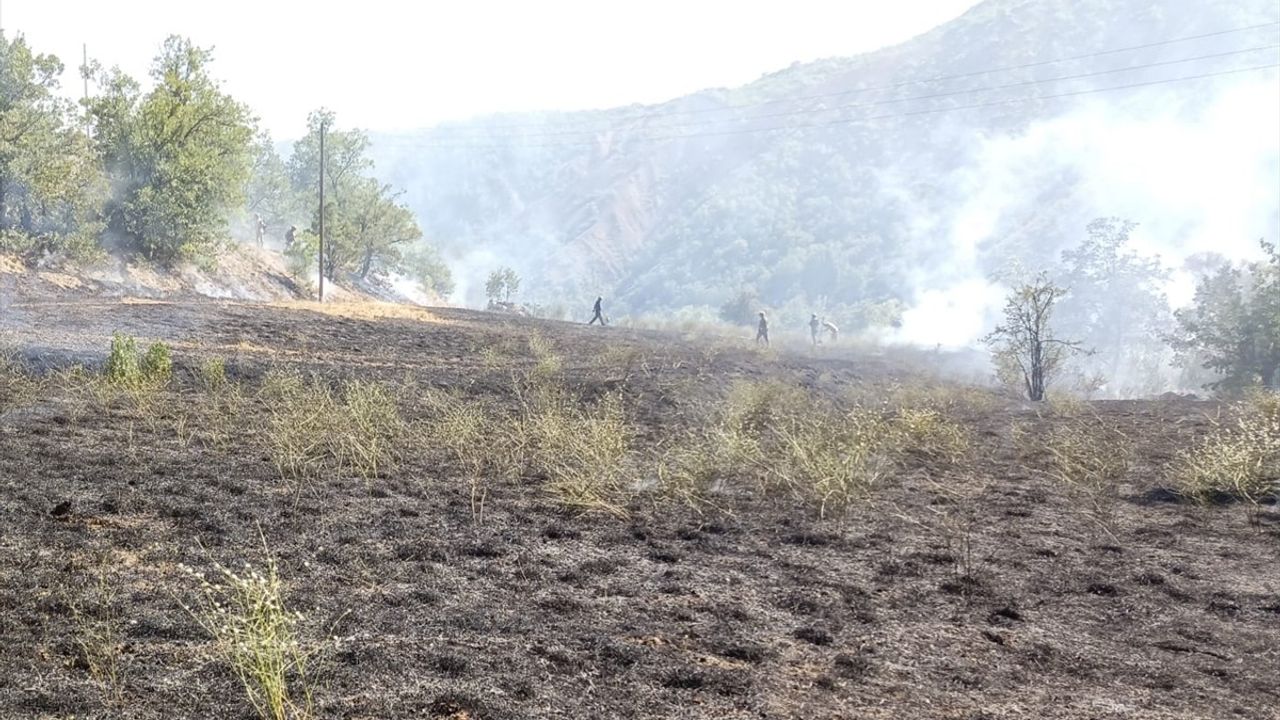 Tunceli'de Orman Yangınına Müdahale Başlatıldı