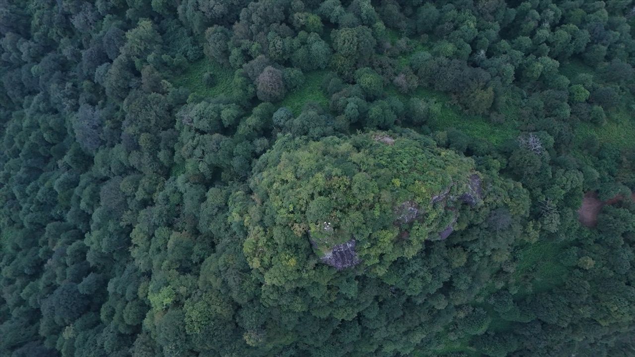 Artvin'deki Arkeolojik Kazılara Jeoradar Desteği