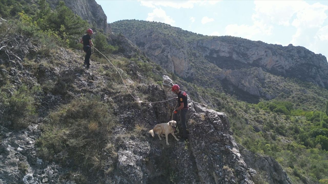 Çorum'da Kayalıklarda Mahsur Kalan Köpek Kurtarıldı