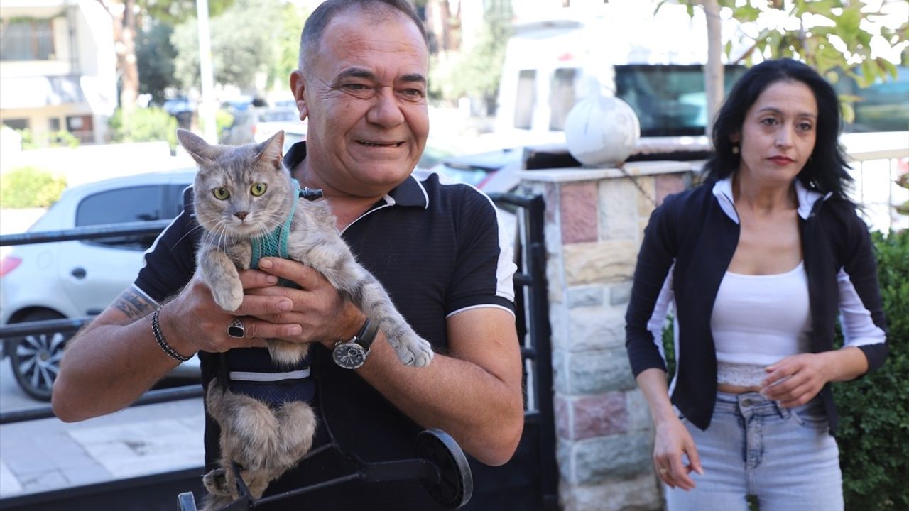 Denizli'de Hayvanseverlerin Yürüttüğü Yürüteç Projesi