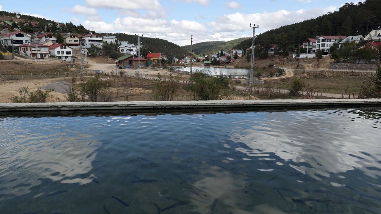 Eğriçimen ve Perşembe Yaylaları: Doğanın Kalbinde Her Mevsim Ziyaretçilerini Bekliyor