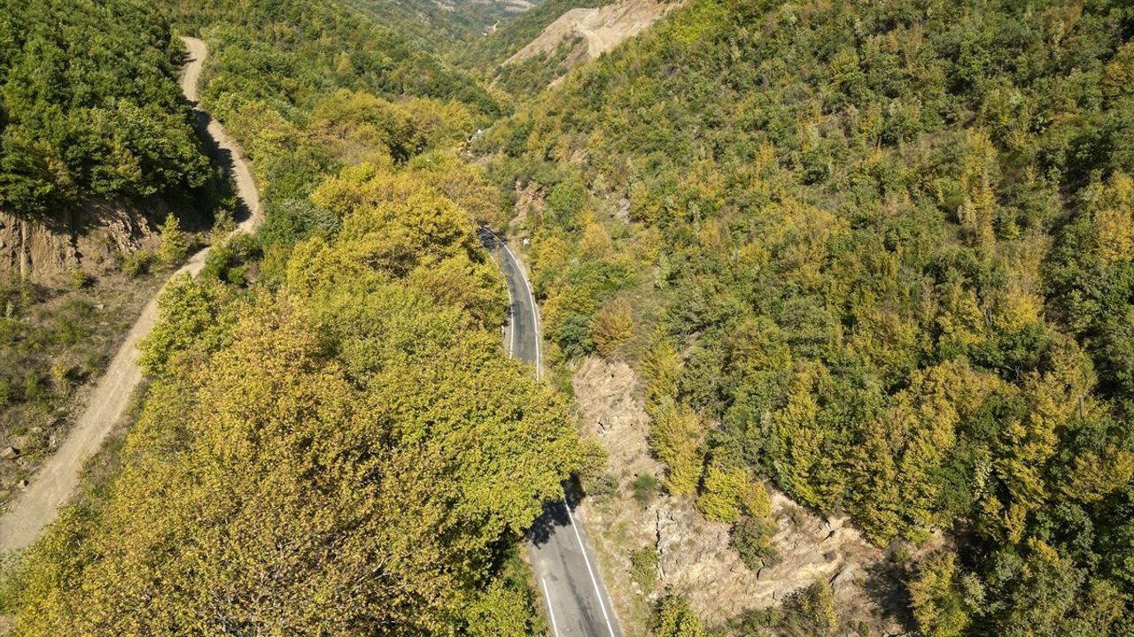 Ganos Dağı'nda Sonbahar Renkleri