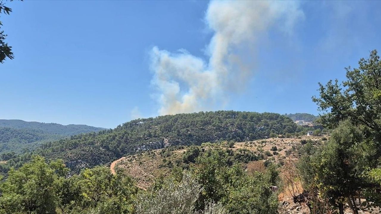 Kaş'ta Orman Yangını: Müdahale Devam Ediyor