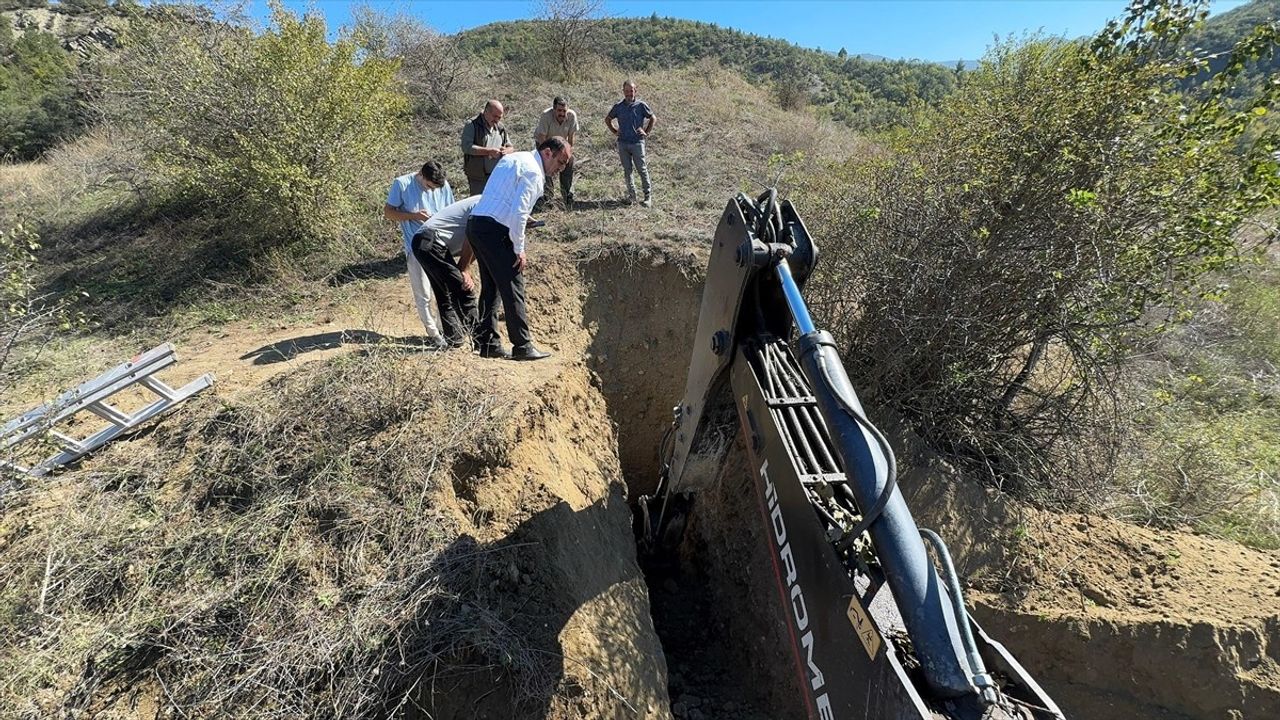 Kastamonu'da Çukura Düşen Ayı Kurtarıldı