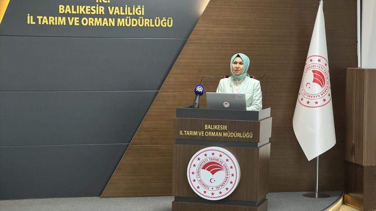 Kuzey Ege Havzası Su Kurulu Toplantısı Gerçekleştirildi