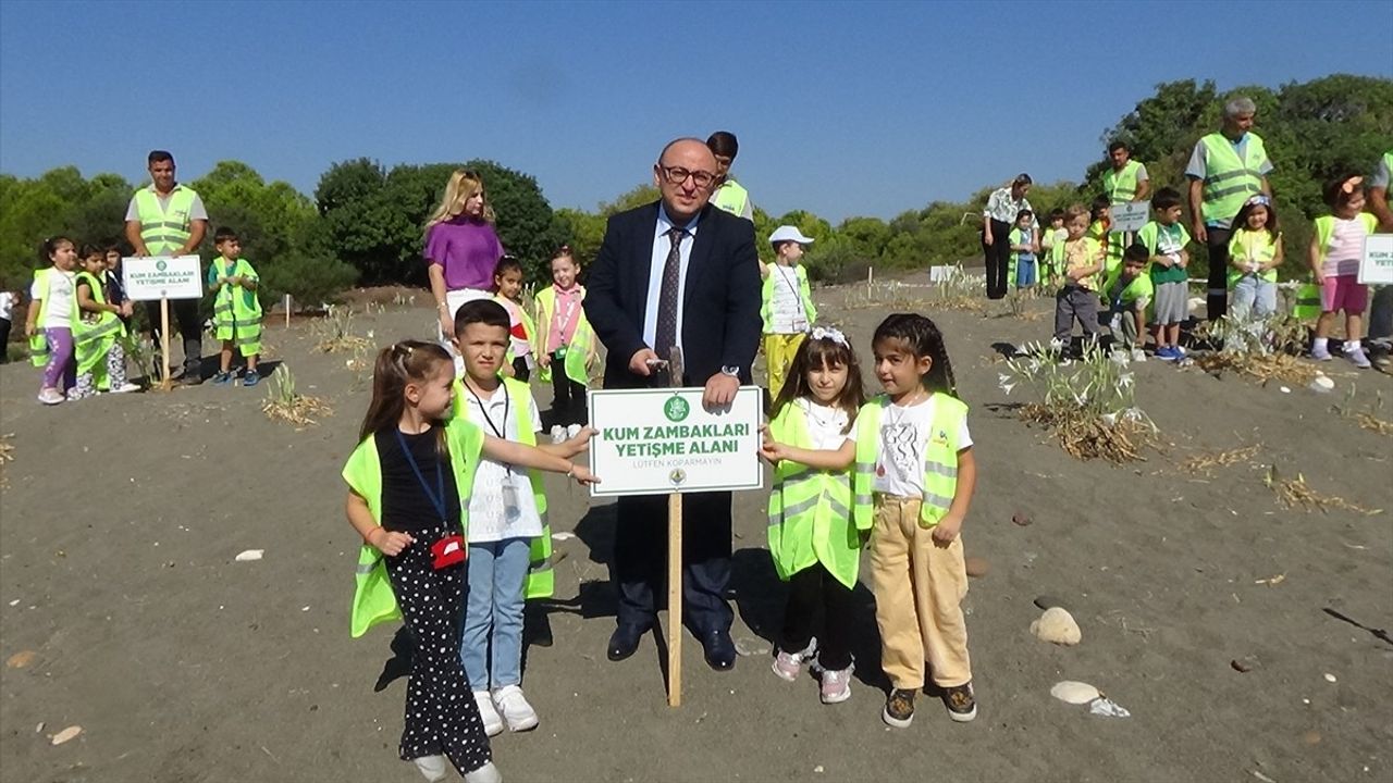 Mersin'de Kum Zambaklarına Özel Koruma Önlemleri