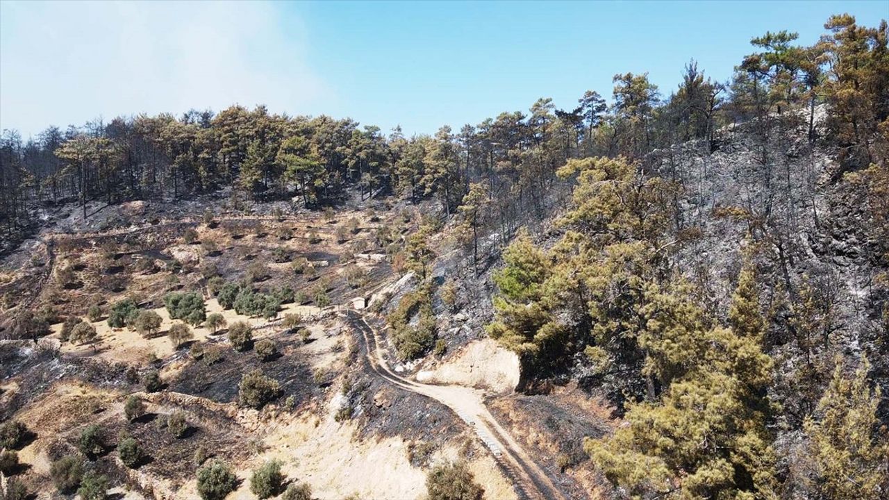 Muğla'da Orman Yangınına Hızla Müdahale Devam Ediyor