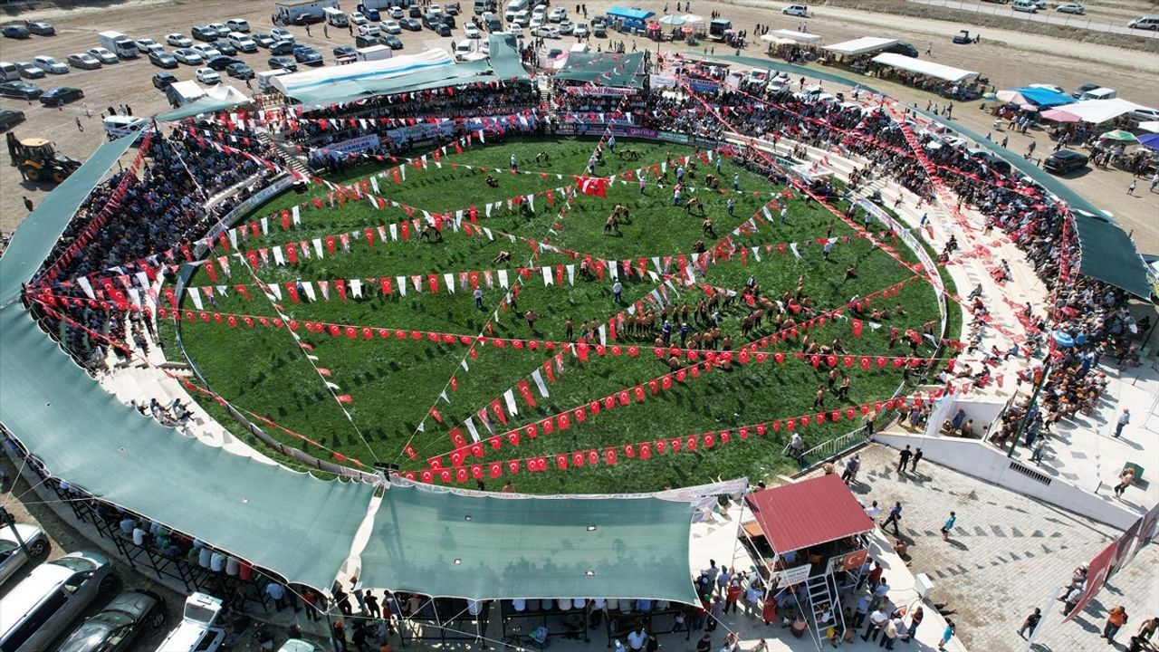 Osmancık Yağlı Pehlivan Güreşleri'nde Ünal Karaman Zafere Ulaşarak Başpehlivan Oldu
