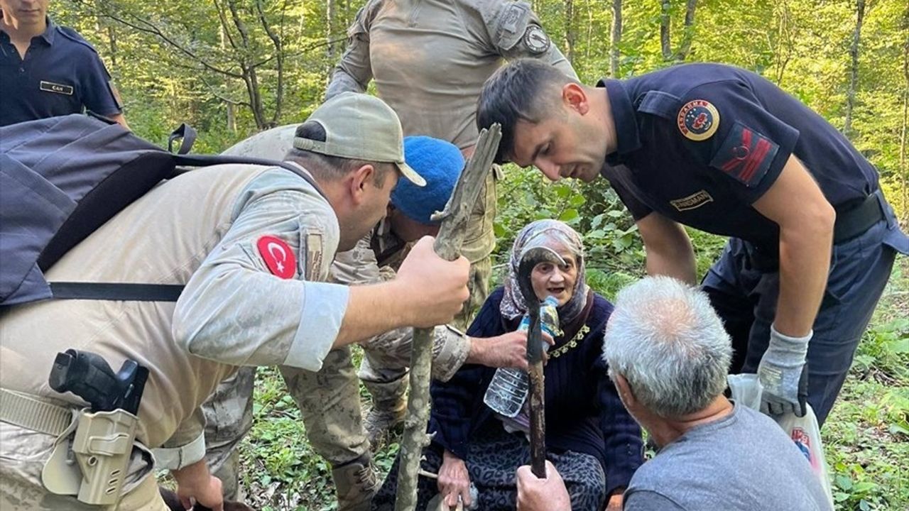 Sinop'ta Ormanda Kaybolan Kadın Bulundu