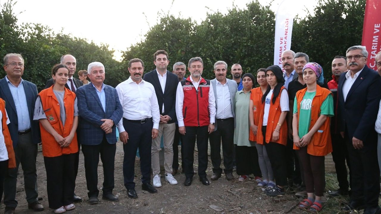 Tarım Ve Orman Bakanı Hatay'da Narenciye Hasadına Katıldı