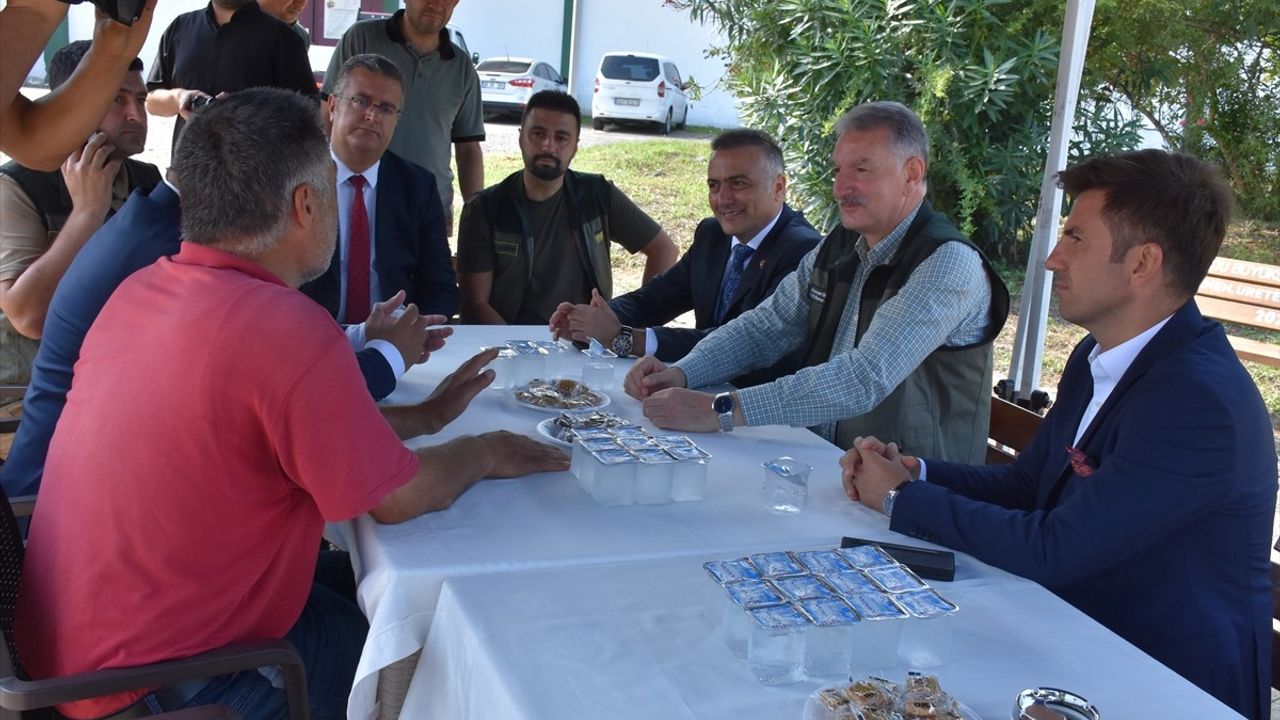 TMO Genel Müdürü Ahmet Güldal'dan Fındık Alım Süreci Değerlendirmesi