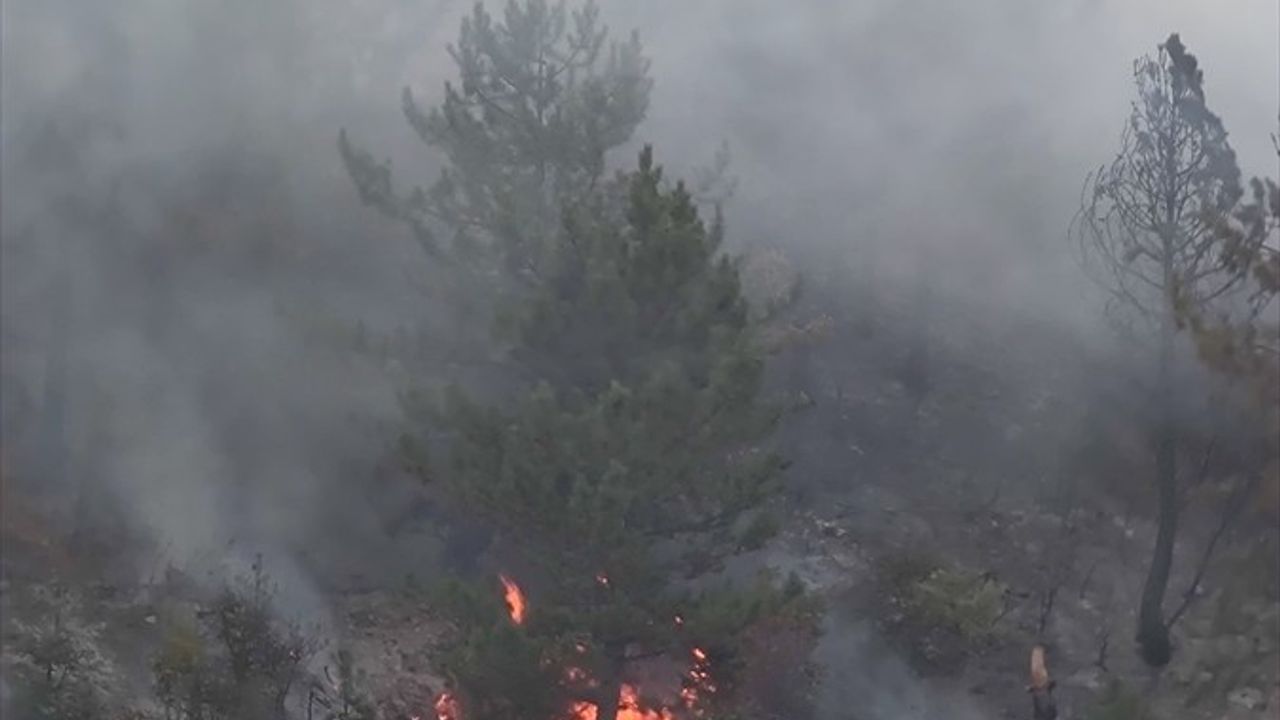 Afyonkarahisar'da Yangın Söndürme Çalışmaları Hızla Devam Ediyor