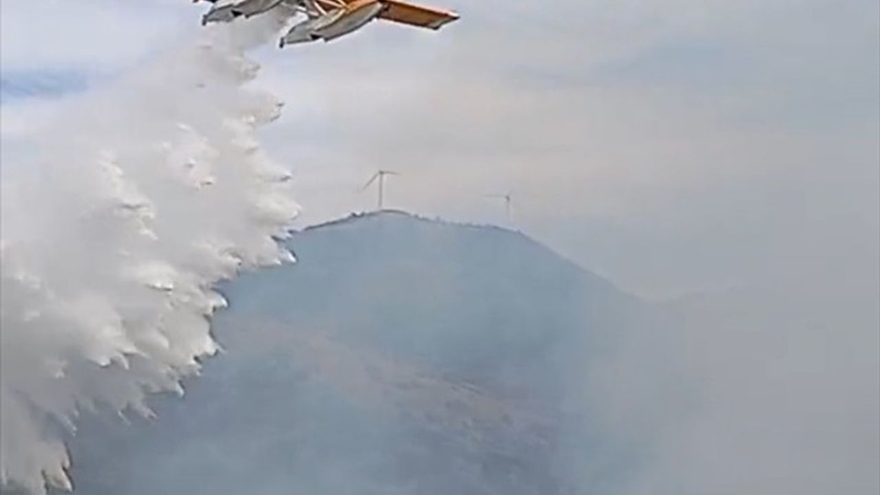 Balıkesir'deki yangın kontrol altına alındı