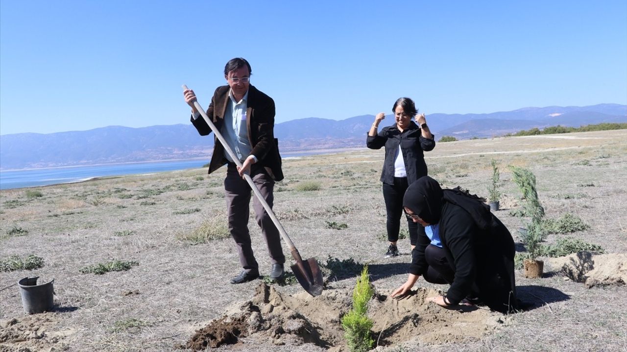 Burdur Gölü İçin Ağaç Dikme Etkinliği