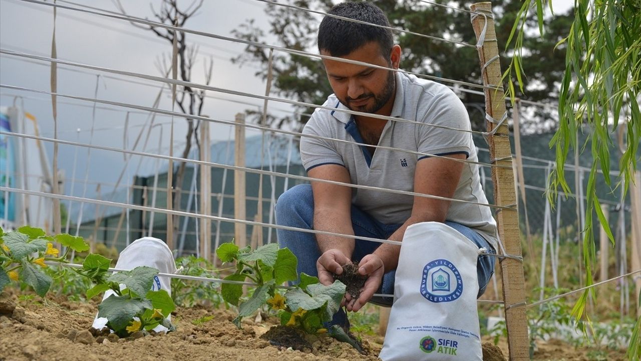 Bursa'da Pazar Atıkları Gübreye Dönüşüyor