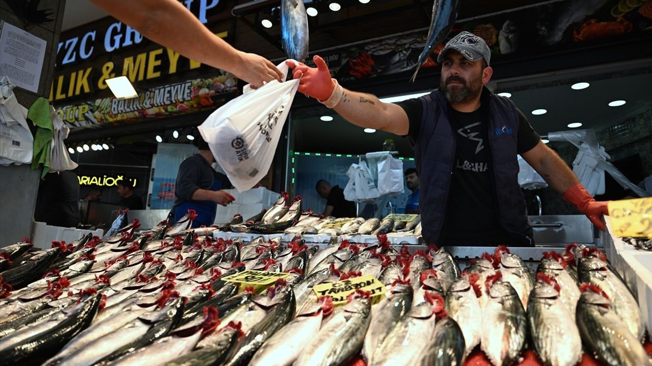 Doğu Karadeniz'de Palamut Avı Hareketliliği