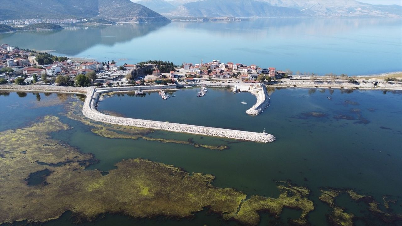 Eğirdir Gölü'nde Yosun ve Ot Temizliği Devam Ediyor