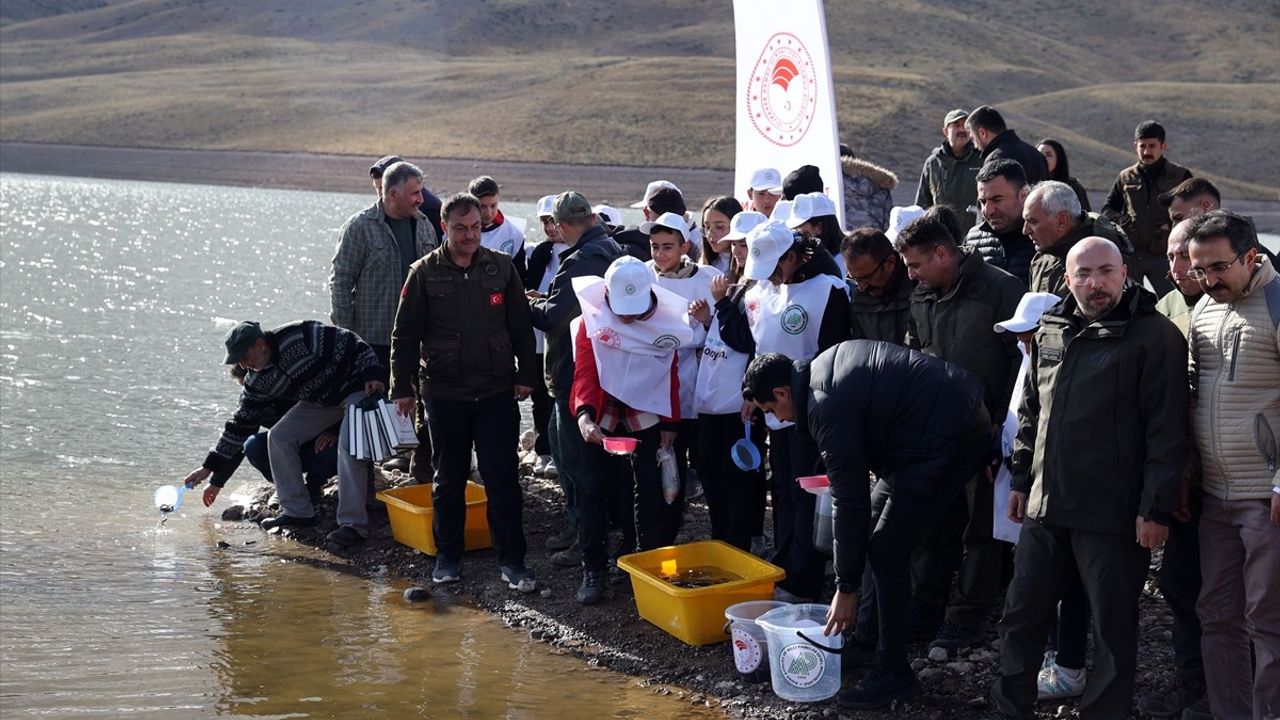 Eğrisu Göleti'nde 10 Bin Kırmızı Benekli Alabalık Yavrusu Salındı