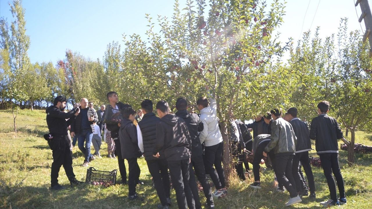 Hakkari'de Tarım Öğrencileri Elma Hasadı Gerçekleştirdi