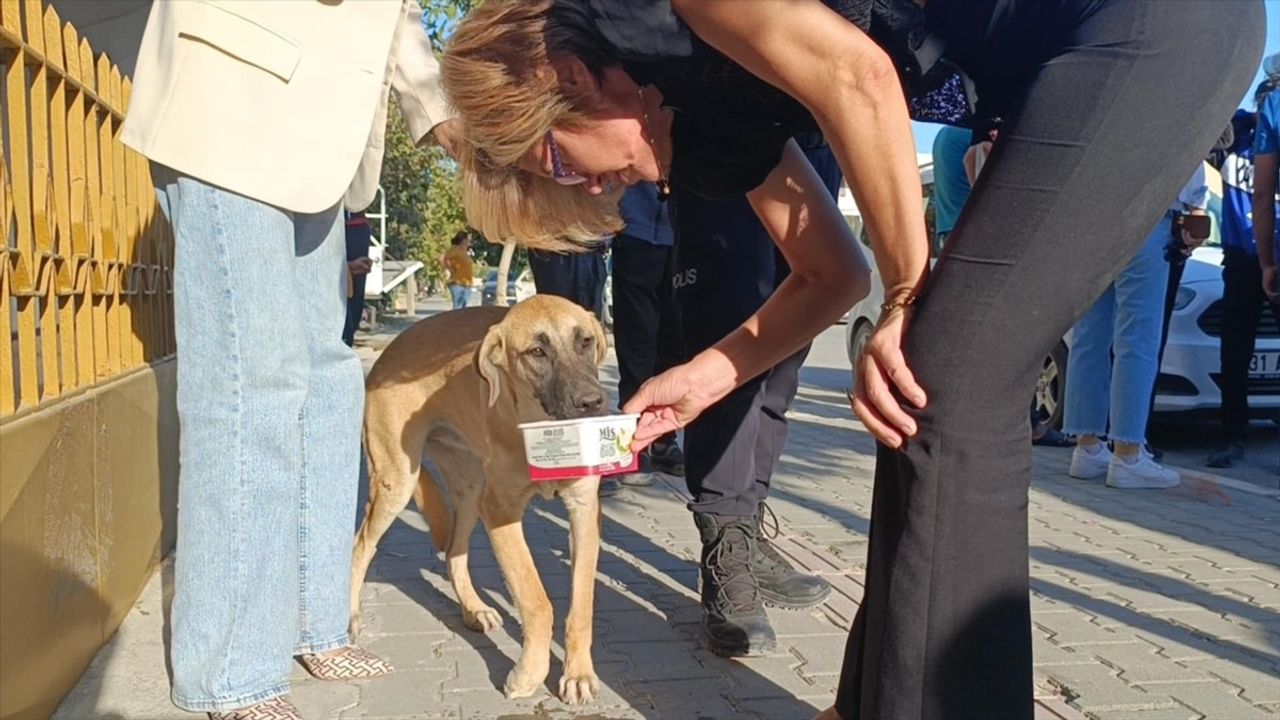 Hatay'da Motosiklet Devrildi, Sürücü Yaralandı