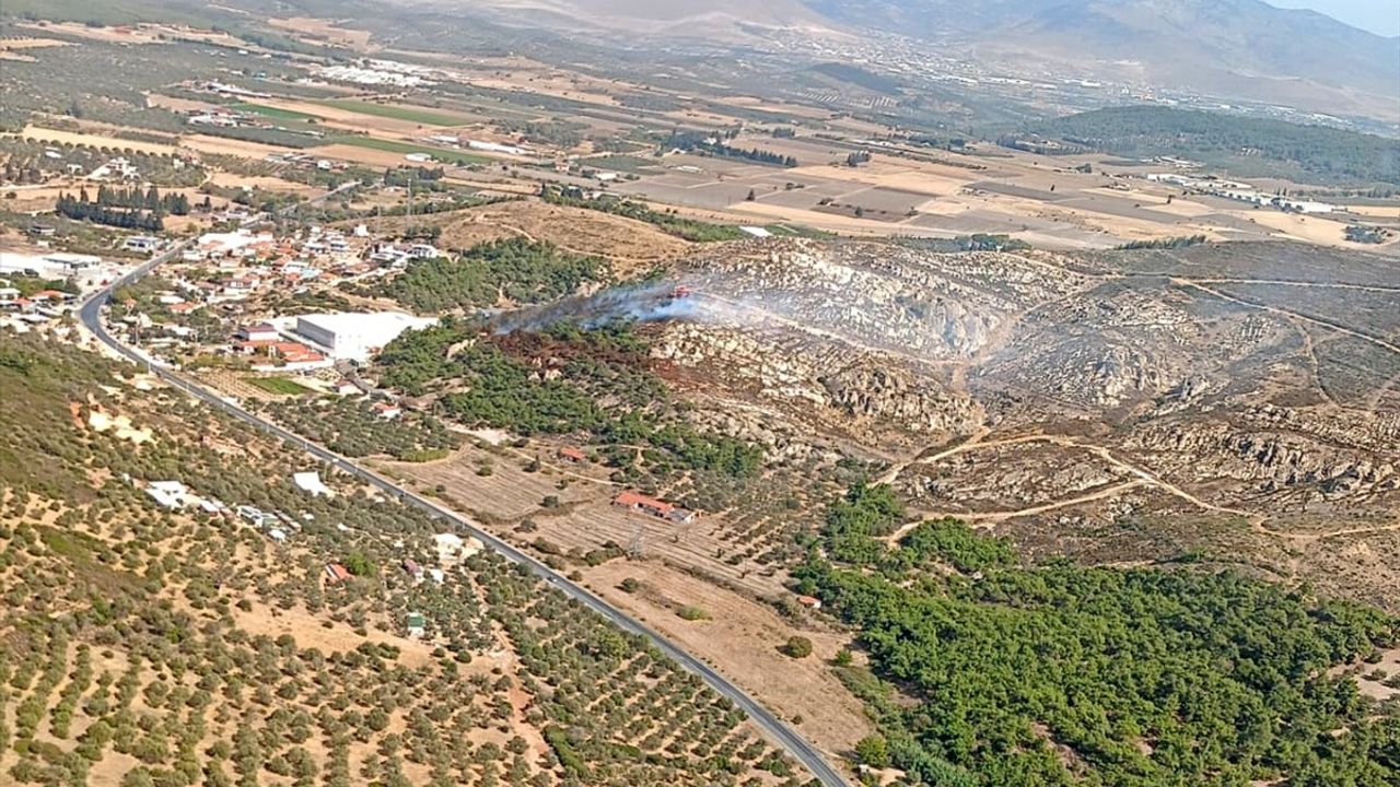 İzmir Foça'da Orman Yangınına Hızlı Müdahale