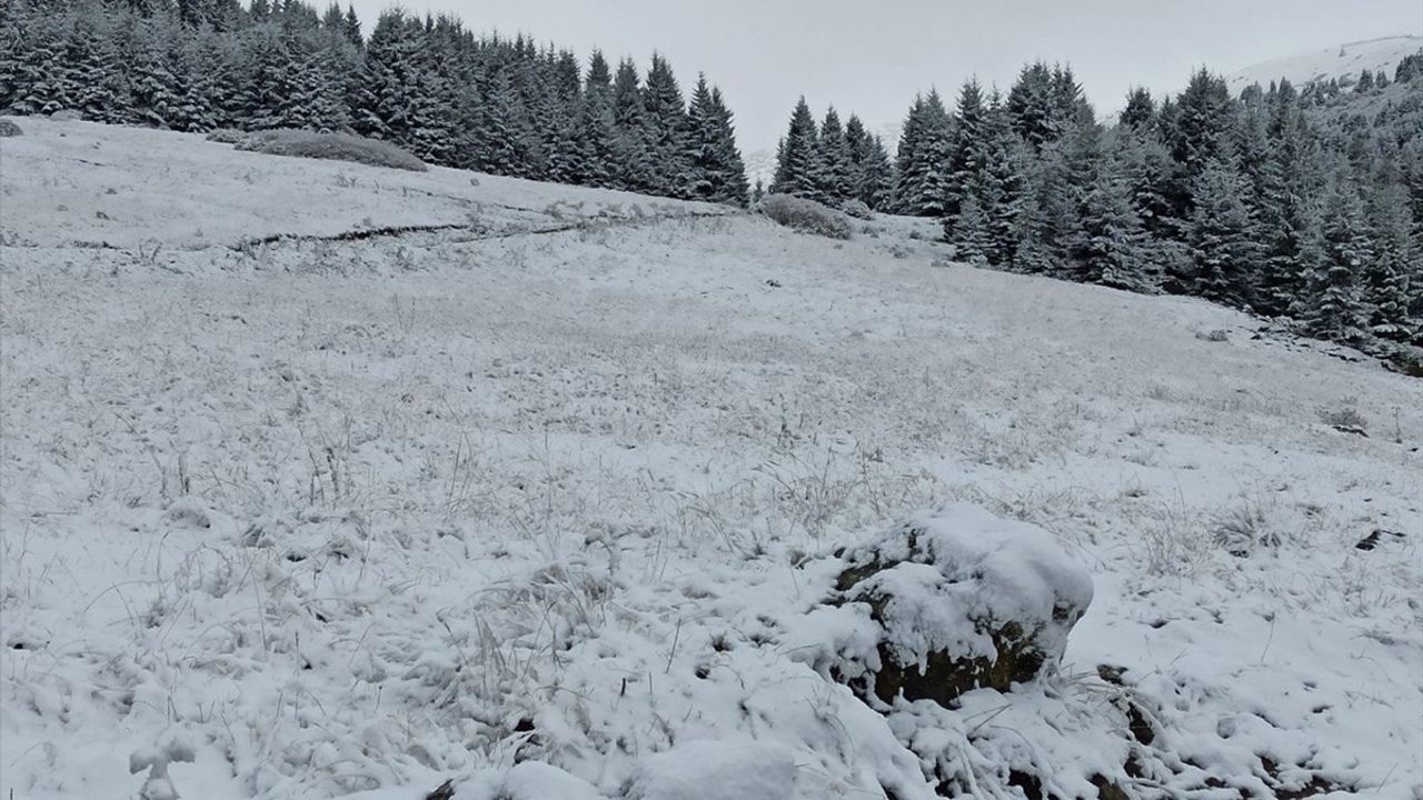 Karadeniz Yüksek Kesimlerinde Kar Yağışı Etkili Oldu