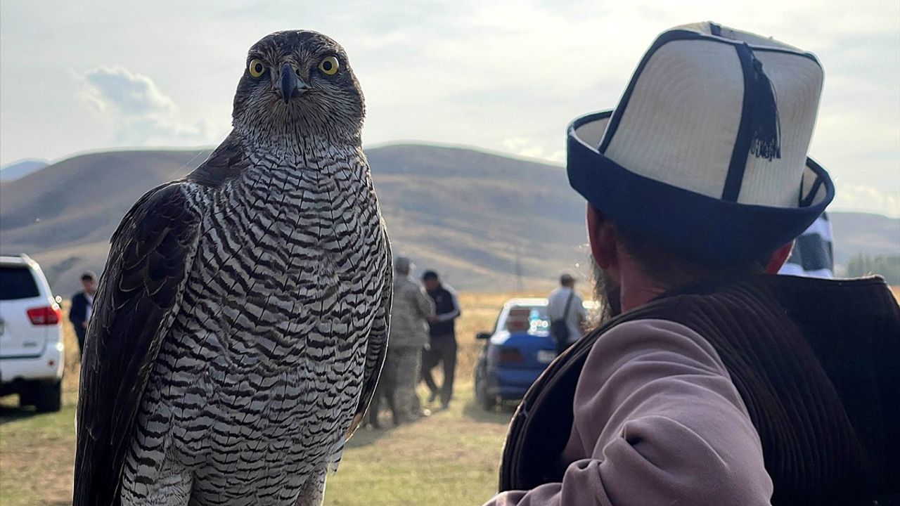 Kırgızistan'da Mergen Fest: Taygan Köpekleri ve Bürküt Kuşları Tanıtıldı