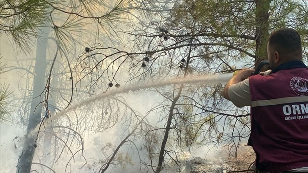 Mersin Silifke'de Orman Yangını Kontrol Altına Alındı