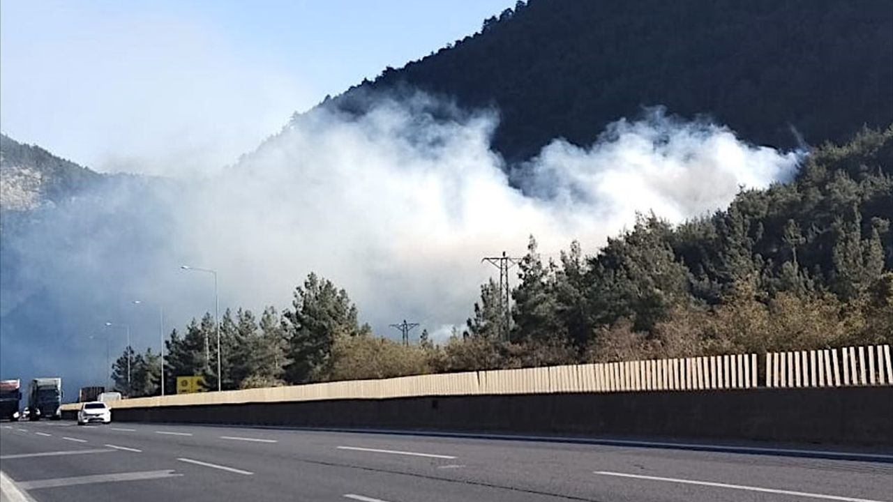 Mersin Tarsus'taki Orman Yangınına Müdahale Ediliyor