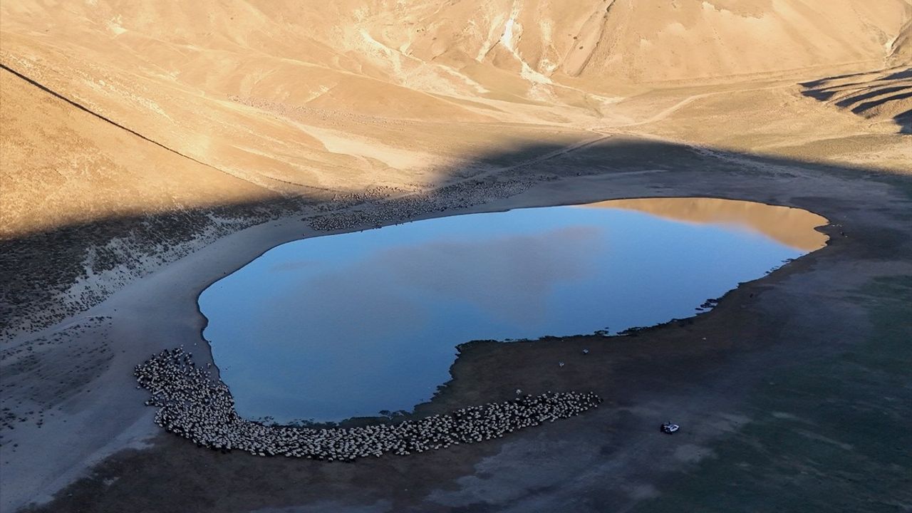 Nemrut Dağı'nın Sürüleri: Kalp Gölü'ne Zorlu Yolculuk