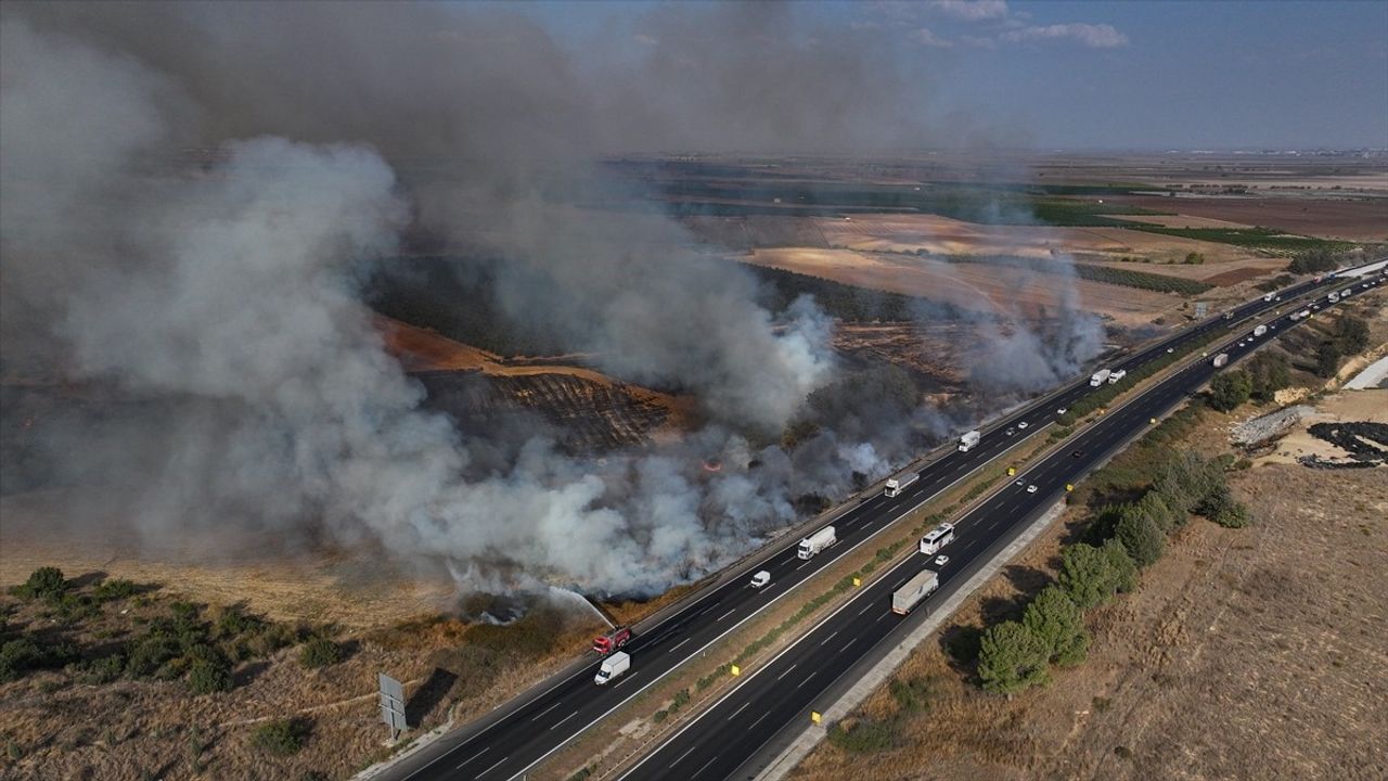 Adana'da Otoyol Kenarında Ağaçlık Alanda Yangın Kontrol Altına Alındı