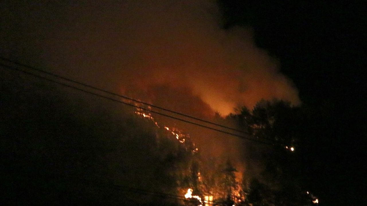 Adana'daki Orman Yangınına Hızla Müdahale