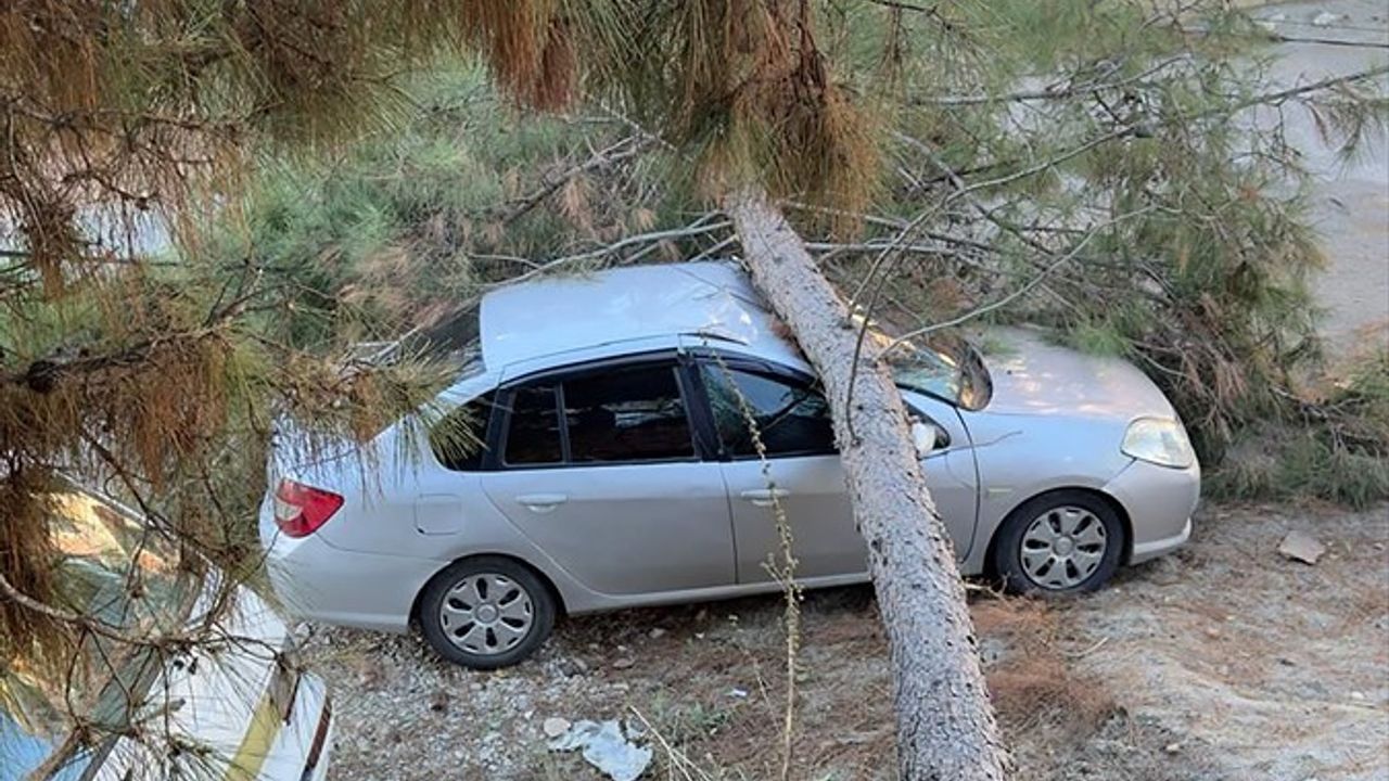 Alanya'da Fırtına Zarara Yol Açtı