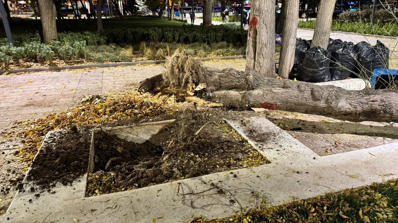 Ankara'da Şiddetli Rüzgar Ağaç Devrilmesine Neden Oldu