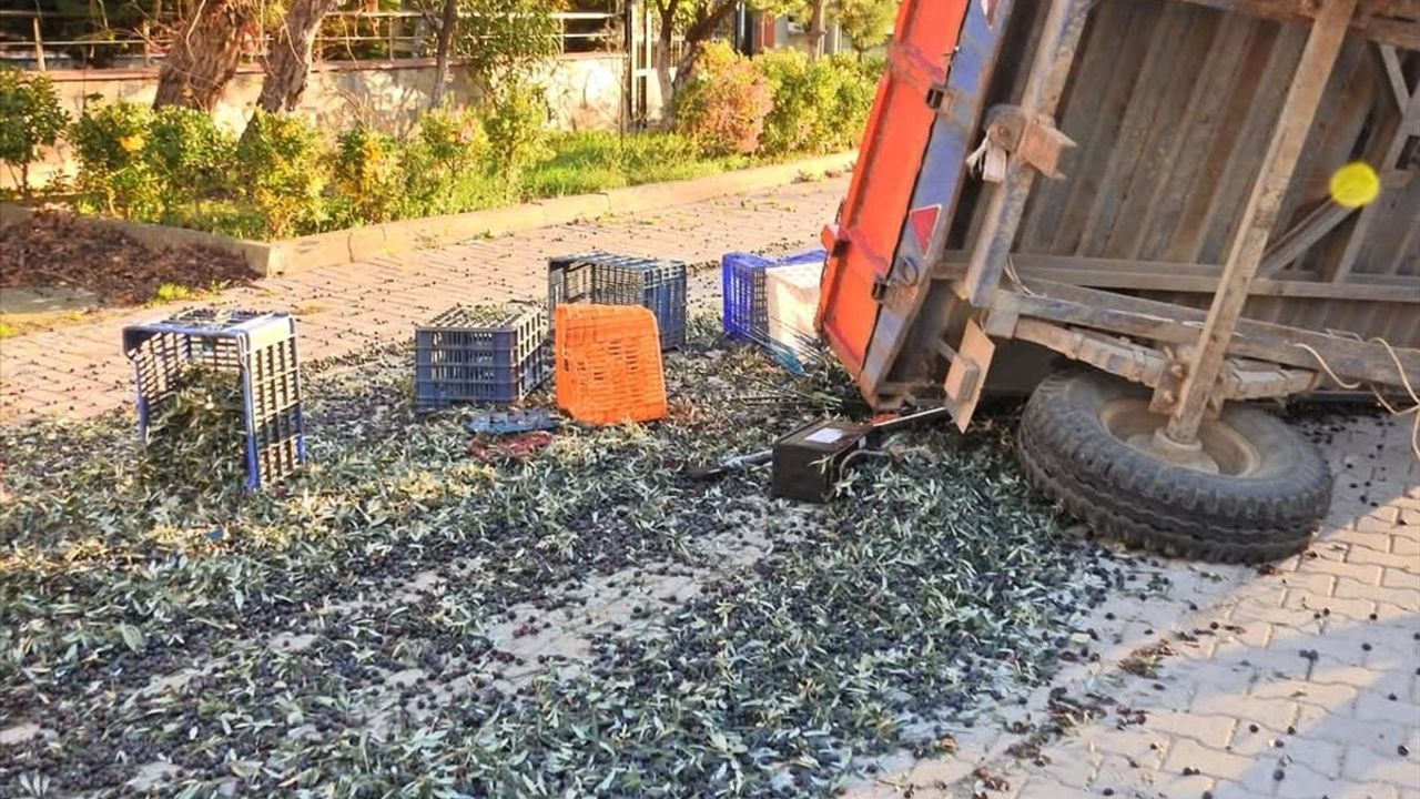 Balıkesir'de Zeytin İşçilerini Taşıyan Traktör Römorku Devrildi