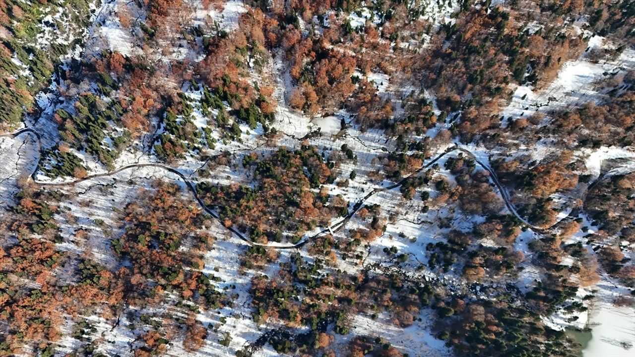 Borçka Karagöl Tabiat Parkı'nda Kış ve Sonbahar Bir Arada