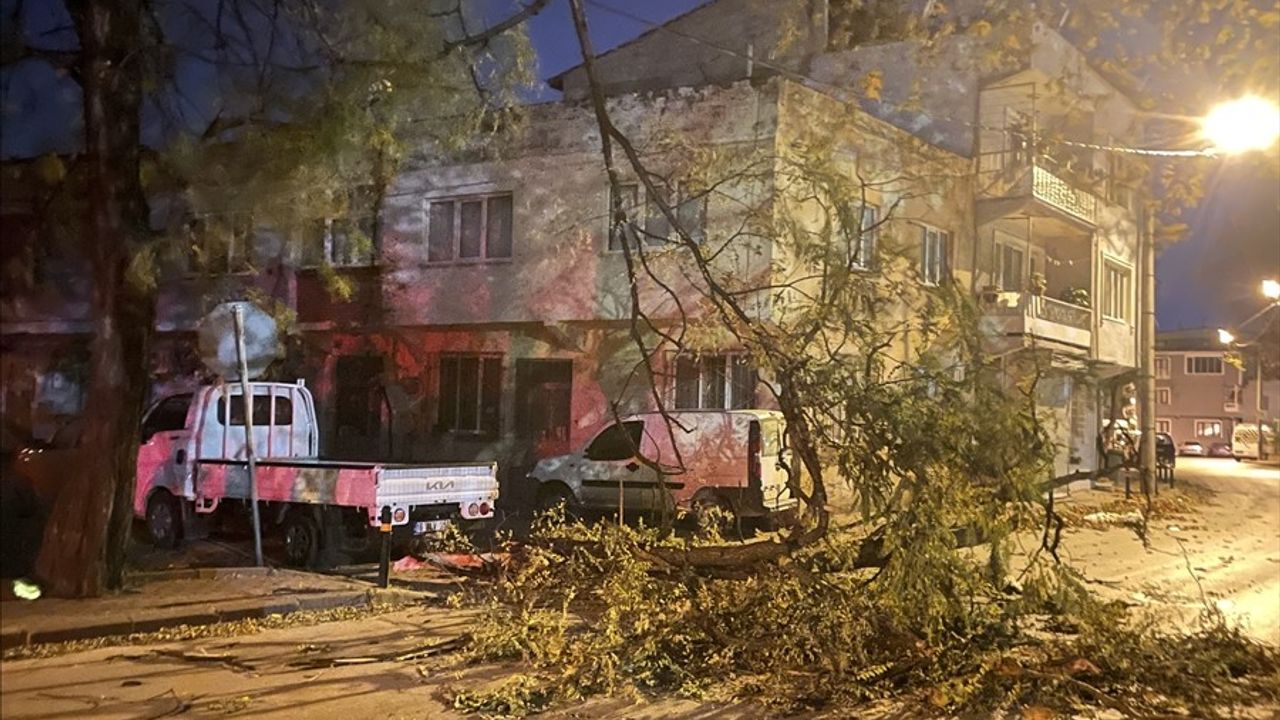 Bursa'da Fırtına Zarar Verdi: Ağaçlar ve Çöp Konteynerleri Devrildi