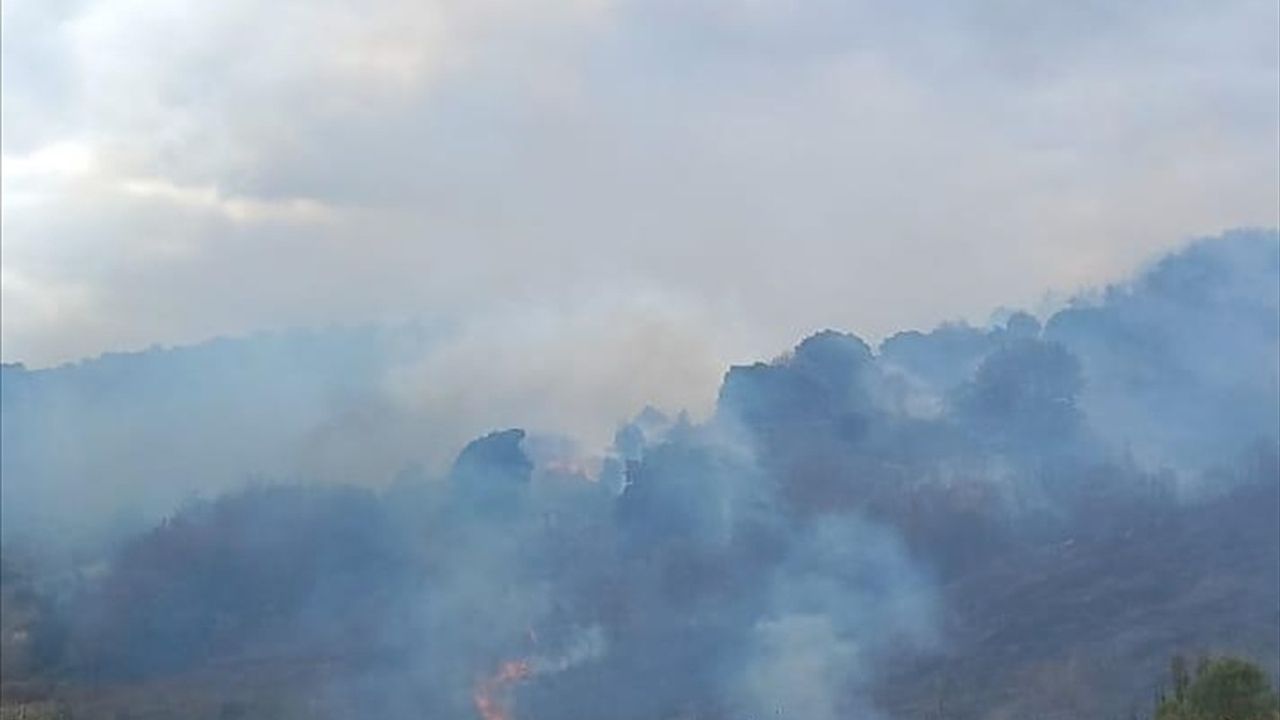 Çanakkale Biga'daki Orman Yangını Kontrol Altına Alındı