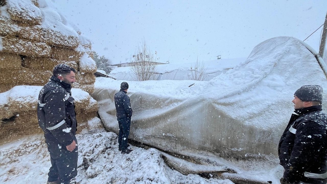 Çankırı'da Çadır Çöktü: Büyükbaş Hayvanlar Kurtarıldı