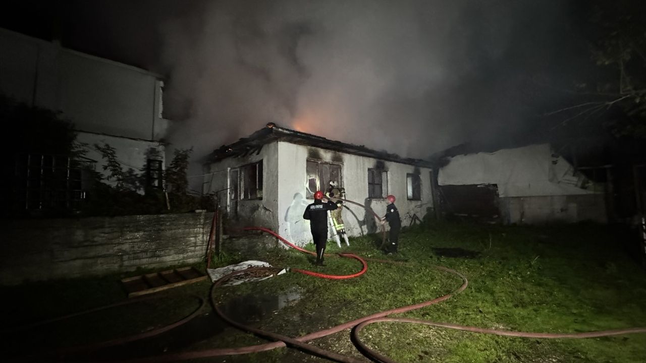 Düzce'deki Yangın Felaketi: İki Ev ve Odunluk Küle Döndü