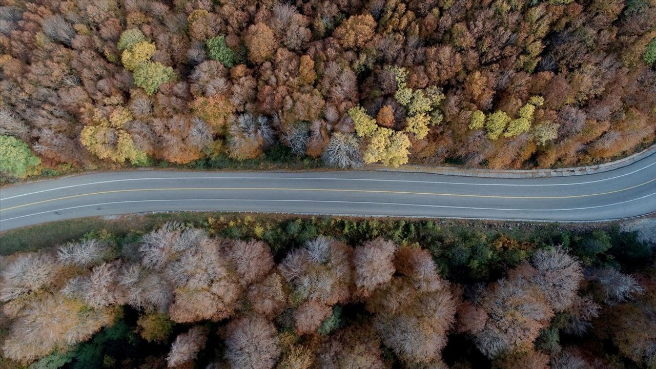 Istranca Ormanlarında Sonbahar Renkleri