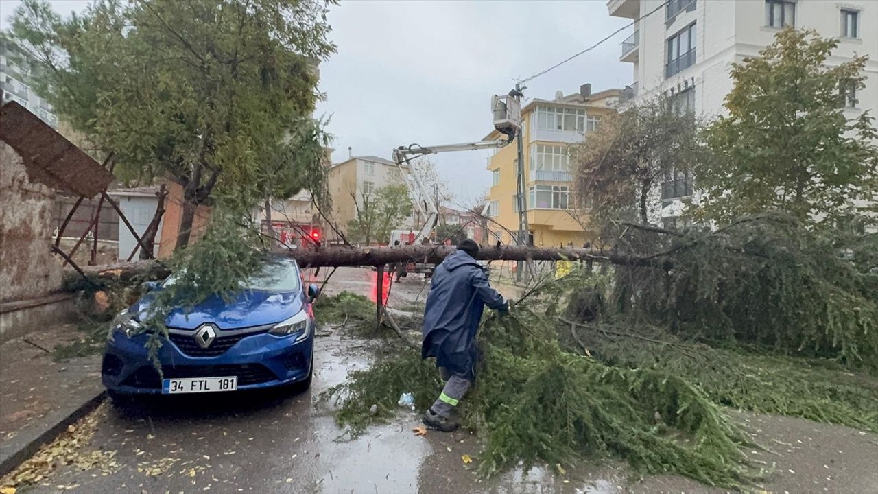 Kartal'da Fırtına Ağaç Devrildi, Otomobil Hasar Gördü