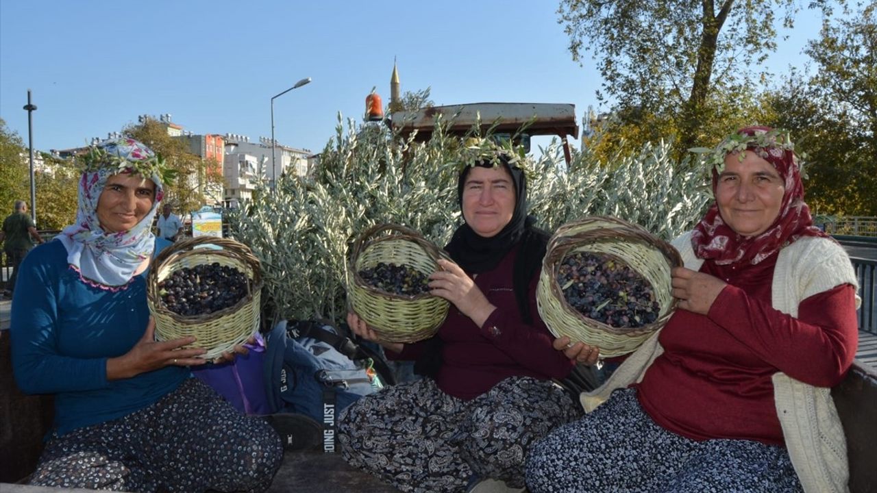 Manavgat Zeytin ve Zeytinyağı Festivali Coşkuyla Başladı