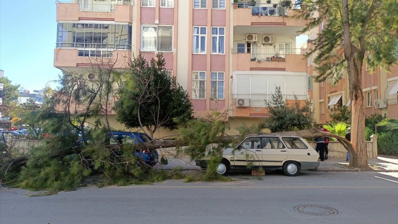 Mersin'de Şiddetli Rüzgar Faciası: 1 Ölü, 1 Yaralı