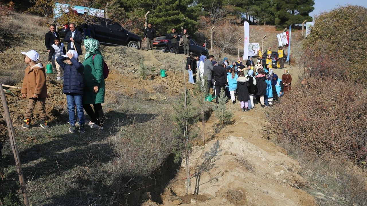 Samsun ve Çevre İllerde Fidanlar Toprağa Kazandırıldı