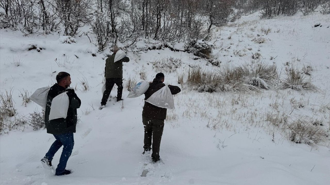 Siirt'te Yaban Hayvanları için Yaşam Destek Çalışmaları