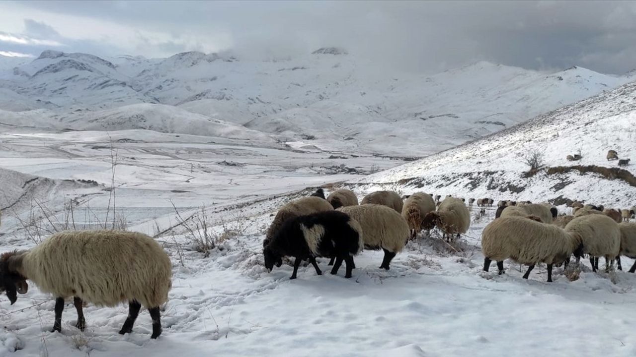 Şırnak'ta Faraşin Yaylası'na Kar Yağdı