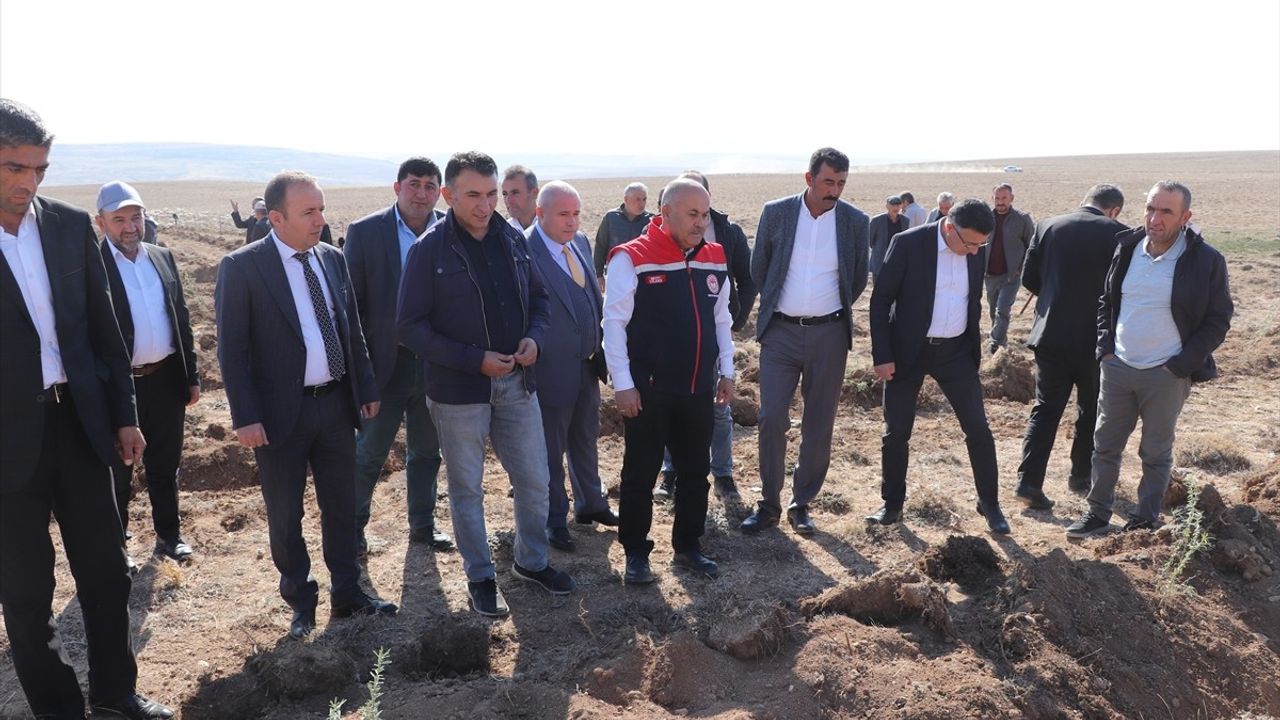 Sivas'ta Tuz Çalısı ile Mera Islahı Çalışmaları Başlatıldı